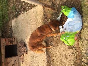 Прикачена снимка