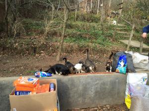 Прикачена снимка