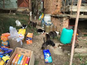 Прикачена снимка