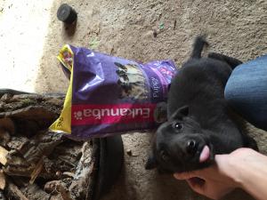 Прикачена снимка