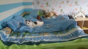 Прикачена снимка