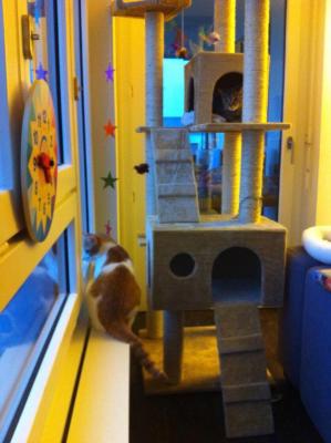 Прикачена снимка