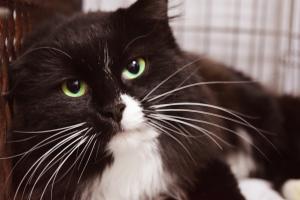 Прикачена снимка