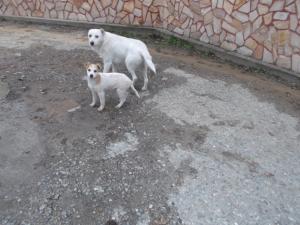 Прикачена снимка