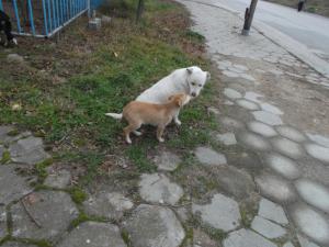 Прикачена снимка