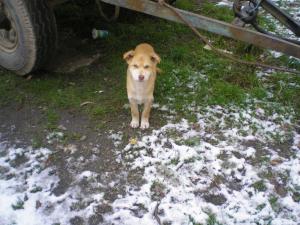 Прикачена снимка