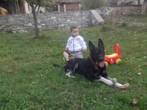 Прикачена снимка