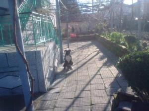 Прикачена снимка