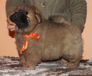 Прикачена снимка