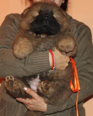 Прикачена снимка