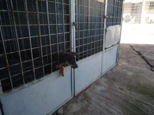 Прикачена снимка