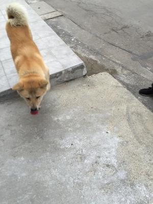 Прикачена снимка
