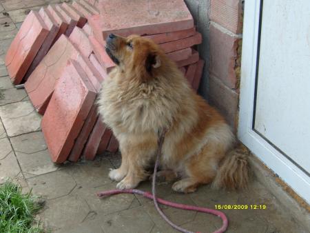 Прикачена снимка