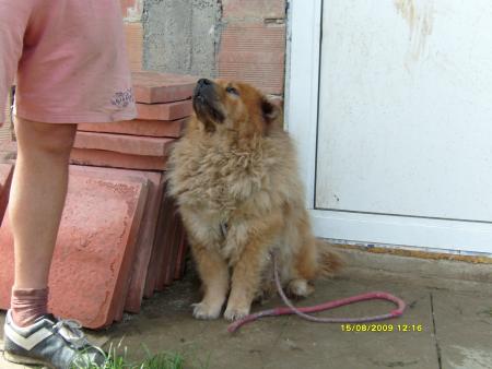 Прикачена снимка