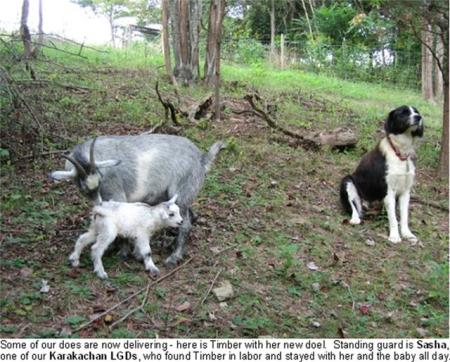 Прикачена снимка