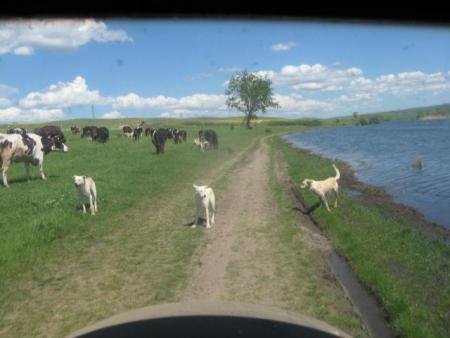 Прикачена снимка