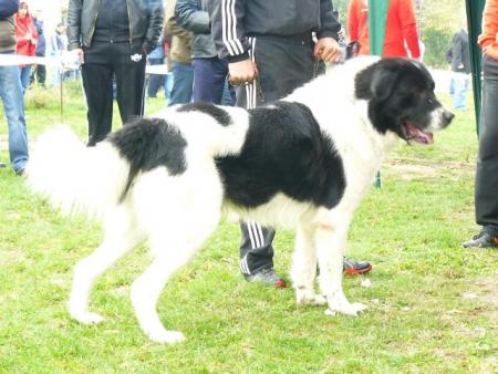 Прикачена снимка