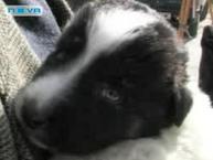 Прикачена снимка