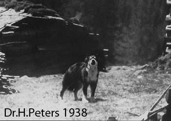 Прикачена снимка