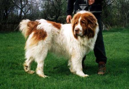 Прикачена снимка