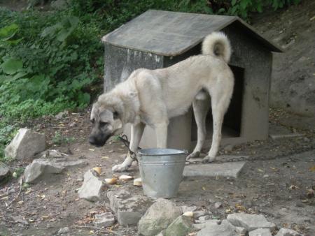 Прикачена снимка