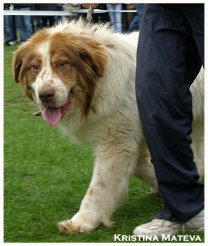 Прикачена снимка