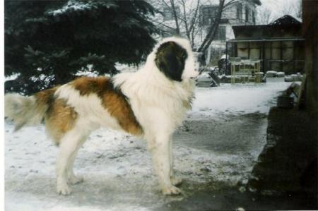 Прикачена снимка