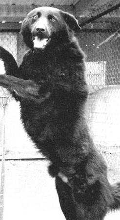 Прикачена снимка