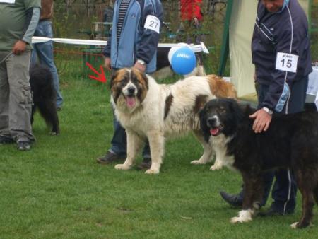 Прикачена снимка