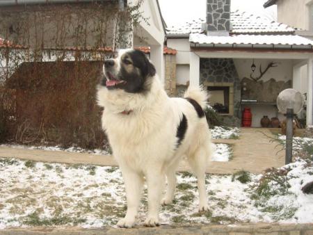 Прикачена снимка