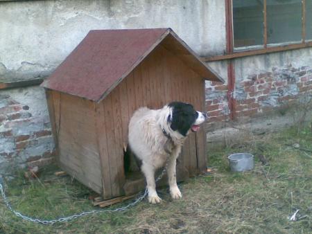 Прикачена снимка