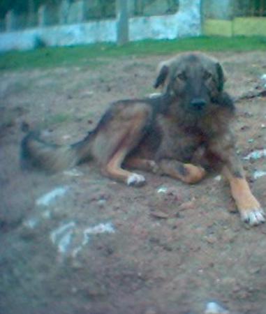 Прикачена снимка
