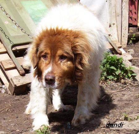 Прикачена снимка