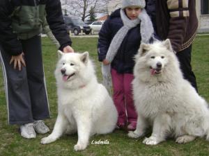 Прикачена снимка