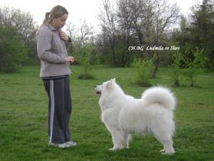 Прикачена снимка