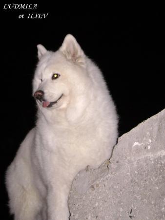 Прикачена снимка