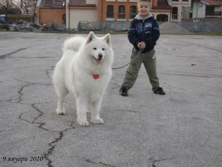 Прикачена снимка