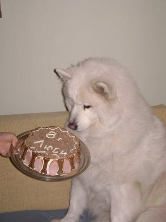 Прикачена снимка