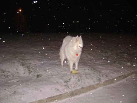 Прикачена снимка