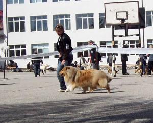 Прикачена снимка