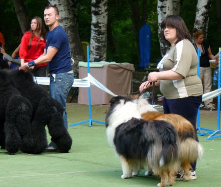 Прикачена снимка