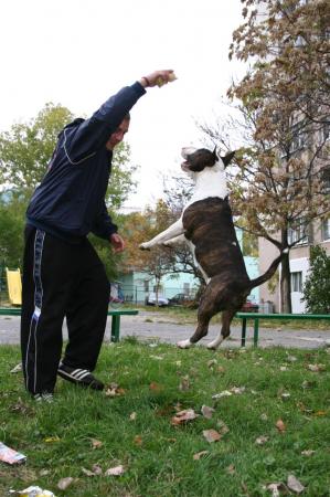 Прикачена снимка