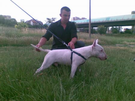 Прикачена снимка