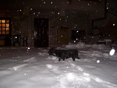Прикачена снимка