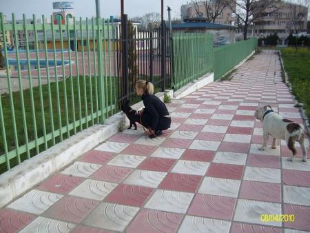 Прикачена снимка