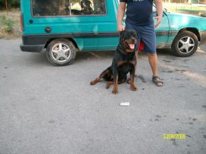 Прикачена снимка