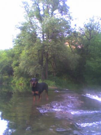 Прикачена снимка