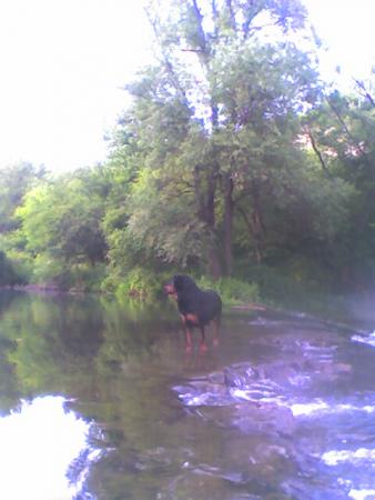 Прикачена снимка