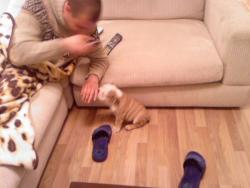 Прикачена снимка