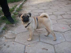 Прикачена снимка